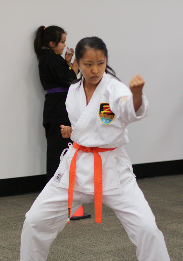 Martial Arts Form