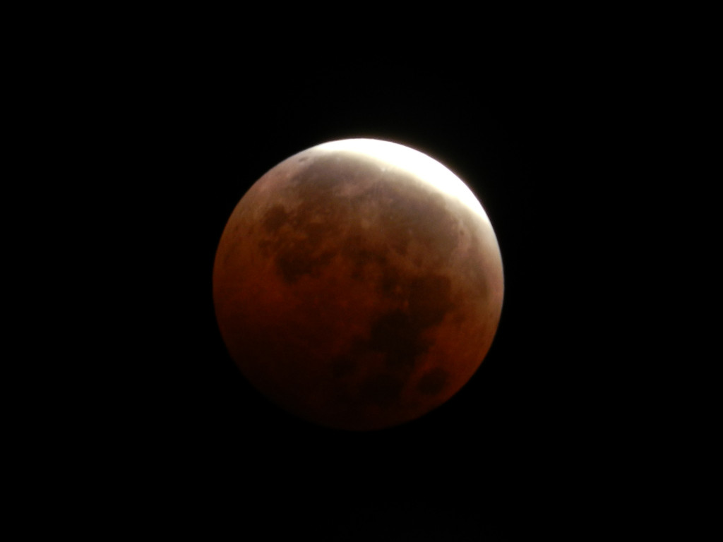 Blood-Moon-SF-Bay-Area-Yingying-Zhang