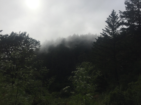 20170623 Foggy Sky Camp Point Reyes