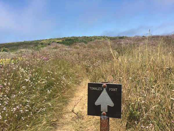 20170624 Tomales Point Trail - 5 Point Reyes