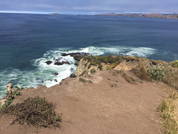 20170624 Tomales Point Trail - 6 Point Reyes