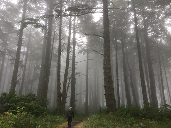 20170625 Sky Trail Coast Trail Point Reyes - 1