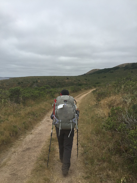 20170625 Sky Trail Coast Trail Point Reyes - 6